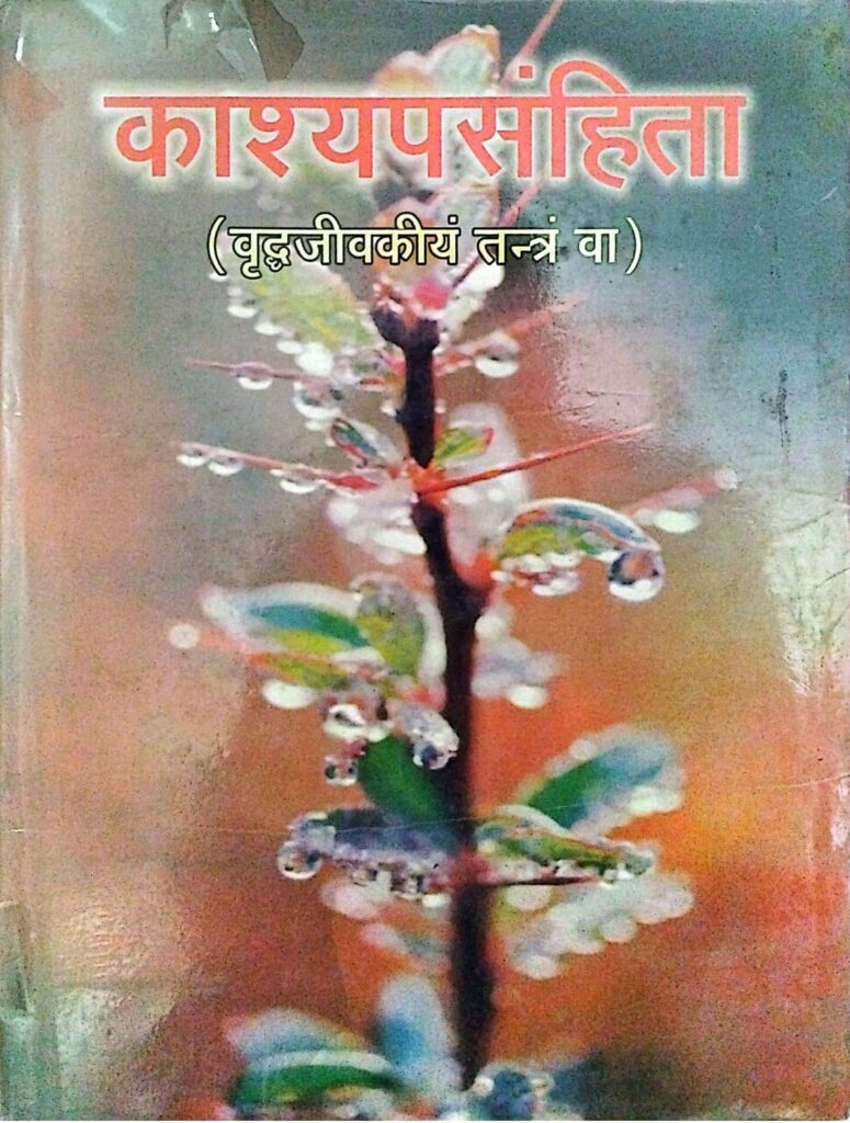 ayurveda health