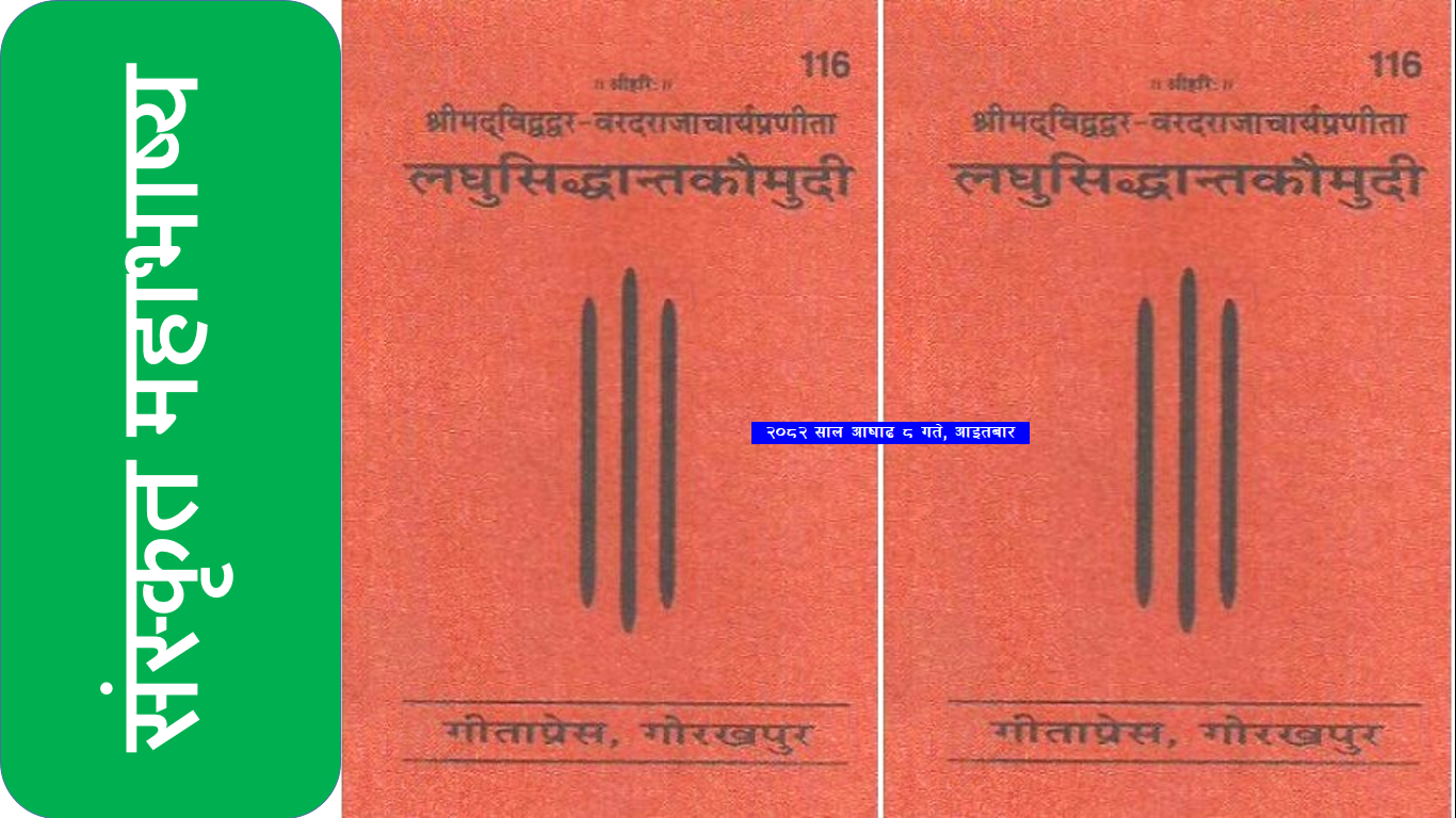 sanskrit mahabhasya